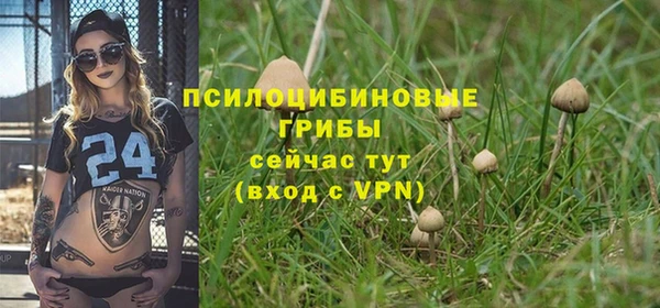 марки nbome Аркадак