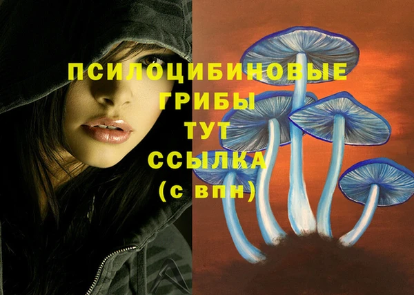 марки nbome Аркадак