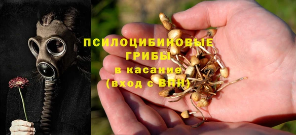 mix Армянск