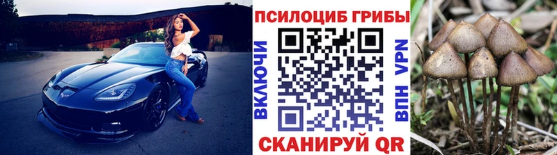 МЕГА сайт  Похвистнево  Псилоцибиновые грибы мицелий 