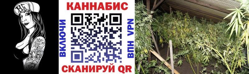 Бошки Шишки SATIVA & INDICA  Похвистнево 